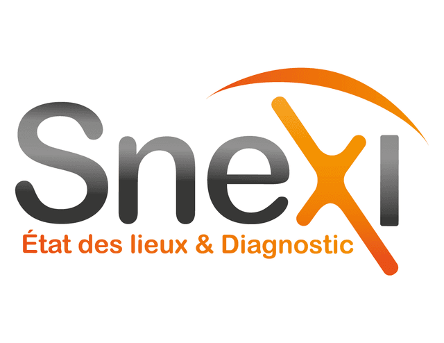 Logo Snexi