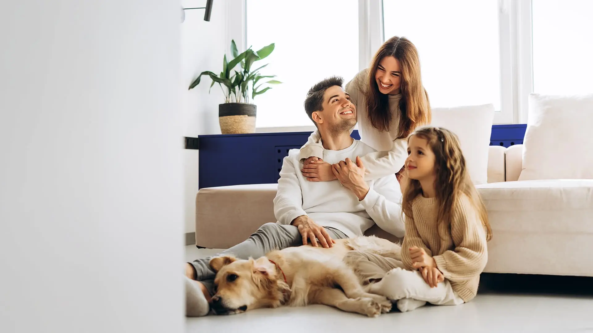 Citya Immobilier